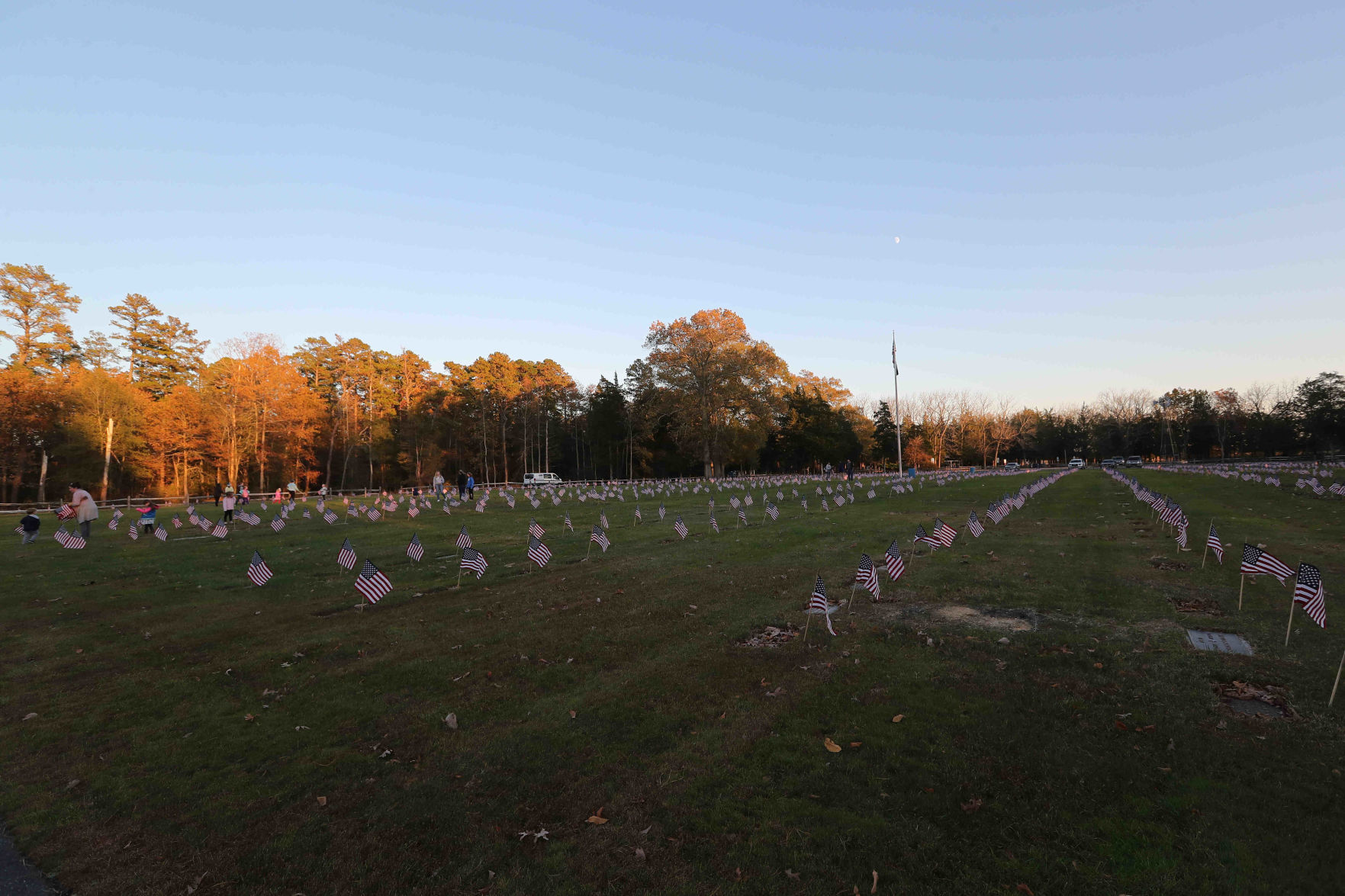 Scouts planted American Flags ahead of Veterans Day